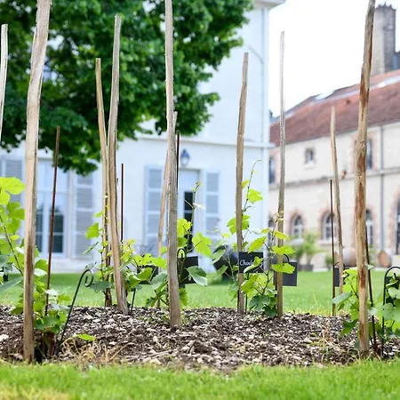 Qualisterra - Oenotourisme Conscient Maison d'hôtes 4*