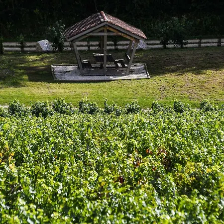 Maison d'hôtes Qualisterra - Oenotourisme Conscient Paris